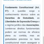 Exemplo da parte do meio do verso do flashcard.