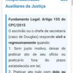 Exemplo da parte do meio do verso do flashcard.
